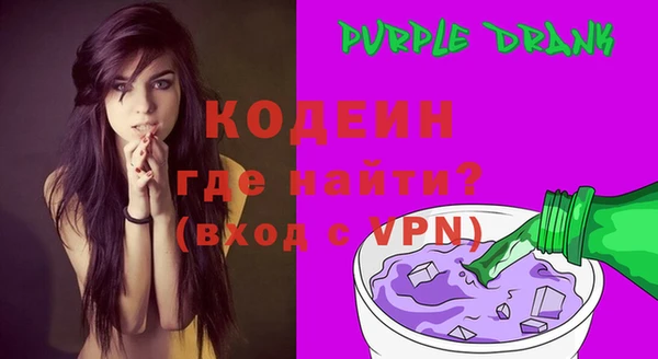 apvp Вяземский