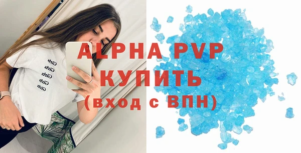 apvp Вяземский